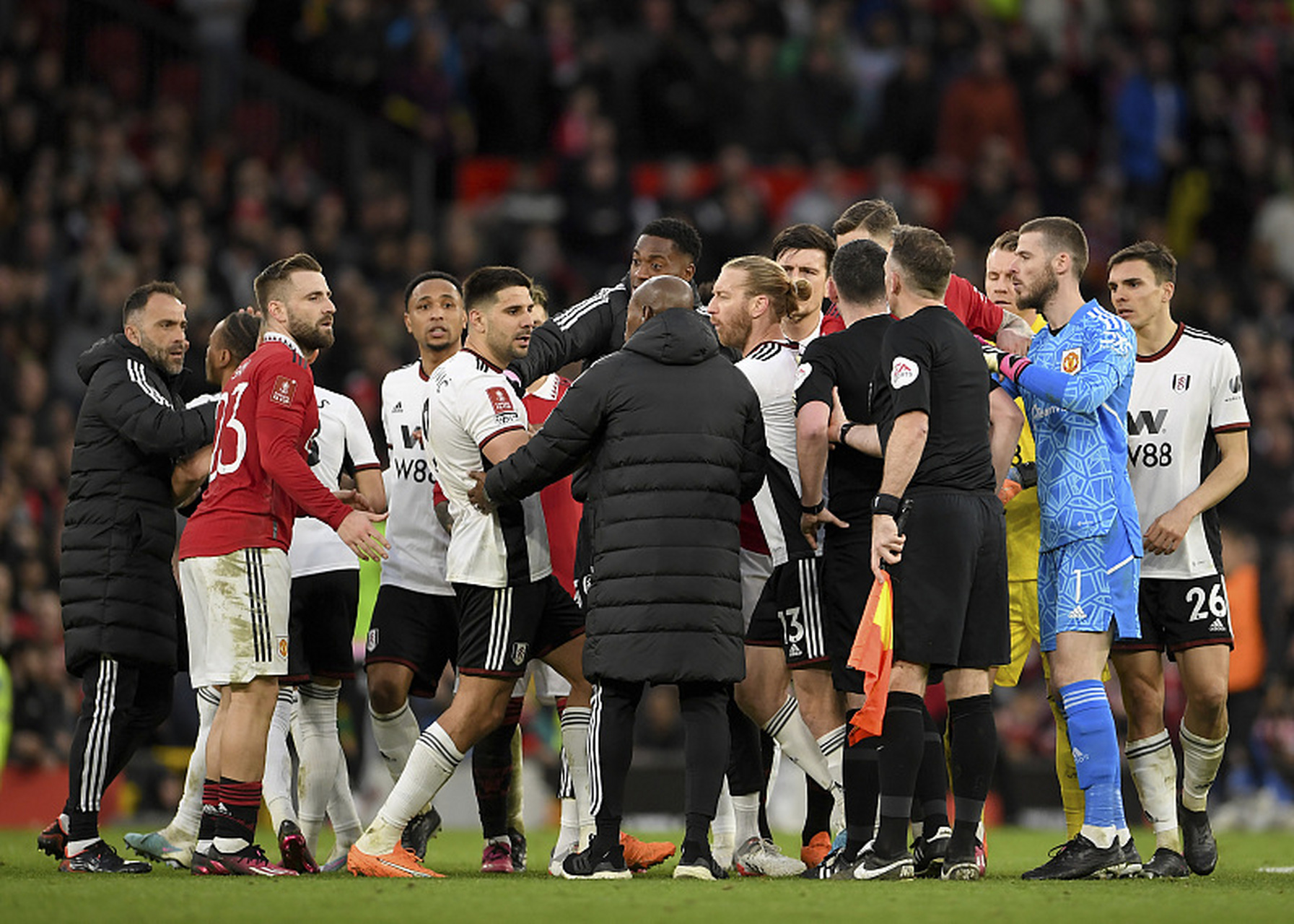 蒂姆获得过大满贯吗 蒂姆获得过大满贯吗